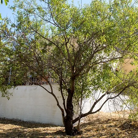 Σπίτι διακοπών Garden In Vathy